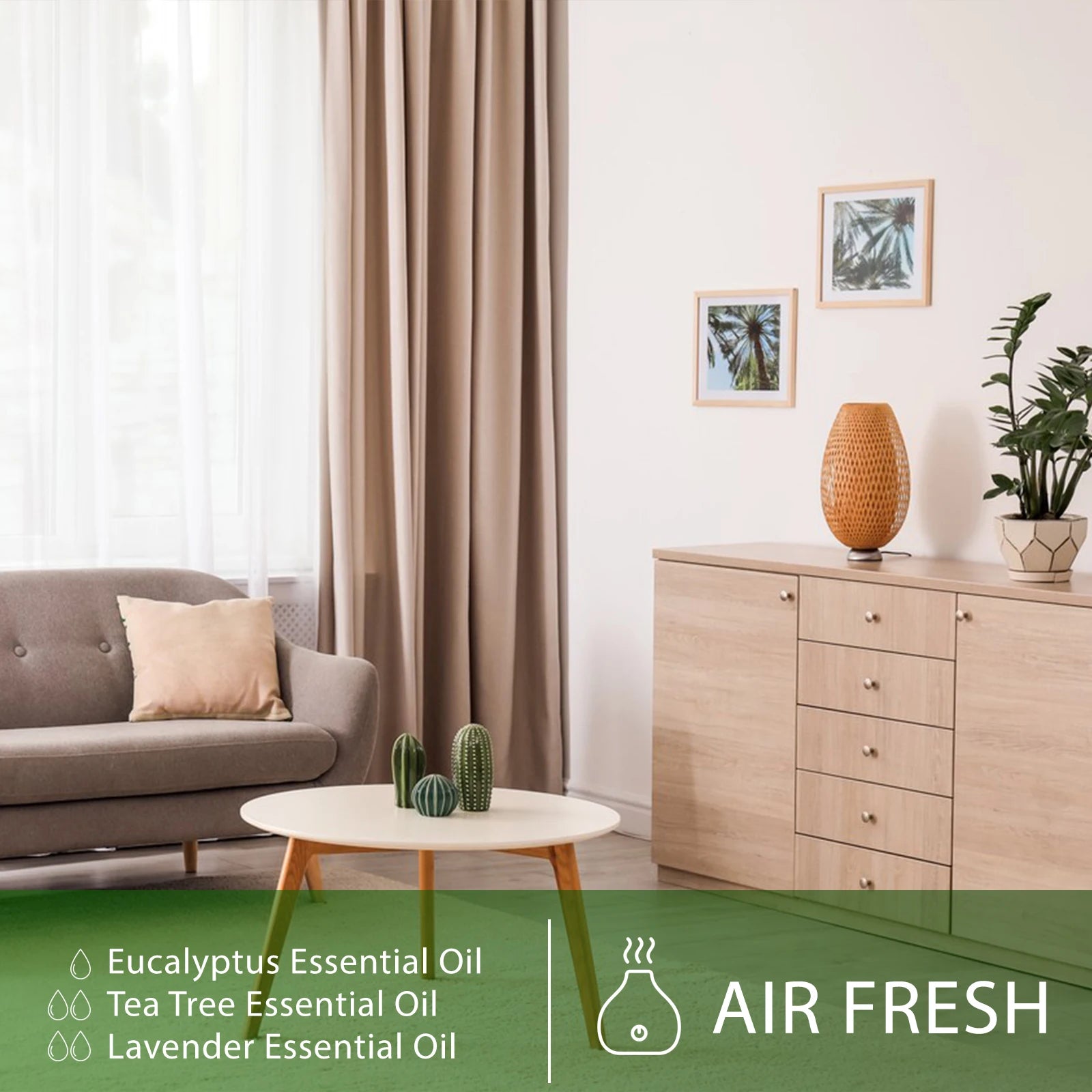 PHATOIL 100ml Aromatherapy Essential Oil