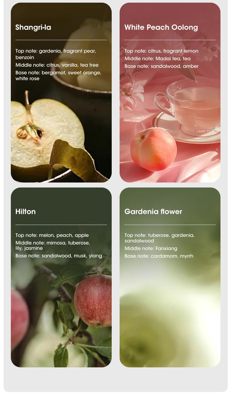 60㎡ Oil Aromatherapy Diffuser