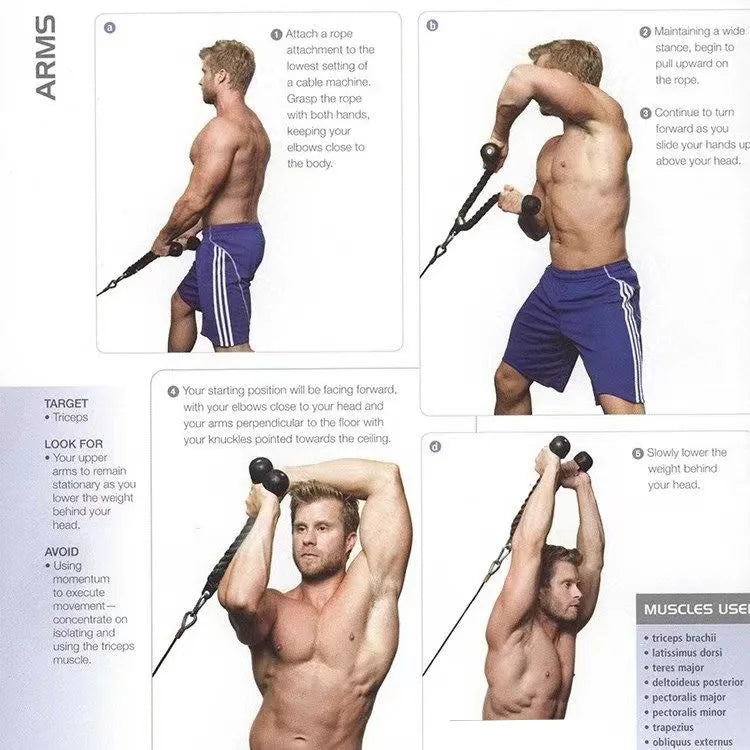 Triceps & Face Pull Rope